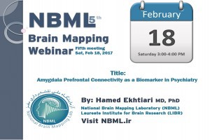 جلسه پنجم از سلسله جلسات وبینار آزمایشگاه ملی نقشه برداری مغز